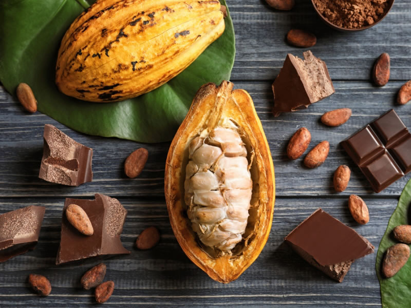 gite-JUST'UN-INSTANT-Valrhona-Cité-du-Chocolat